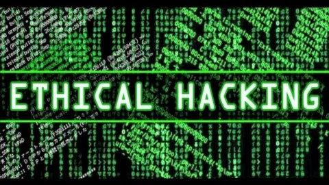 learn hacking from scratch with these courses