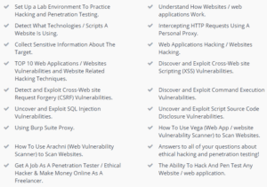 Learn web application hacking and penetration testing - Top Course