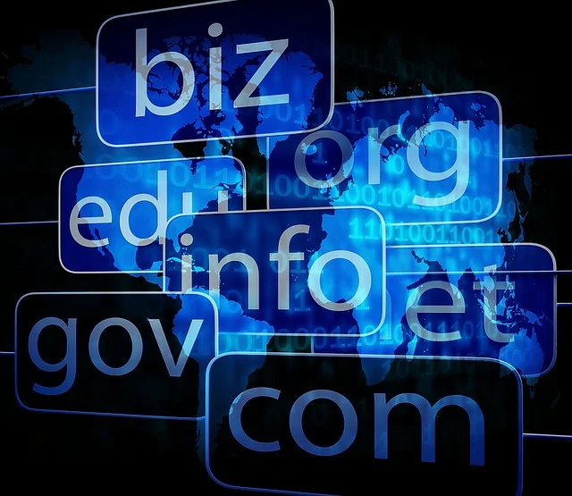 how to choose perfect domain name
